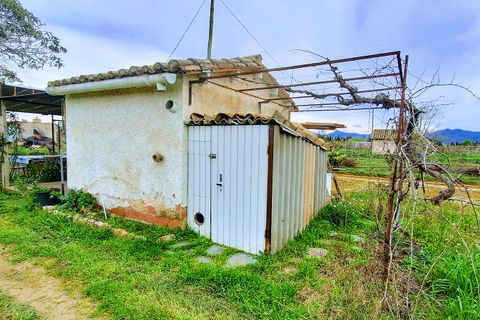 Finca a Ginestar, Tarragona, Ginestar - € 28.000 | Ref: CC839 - foto 9
